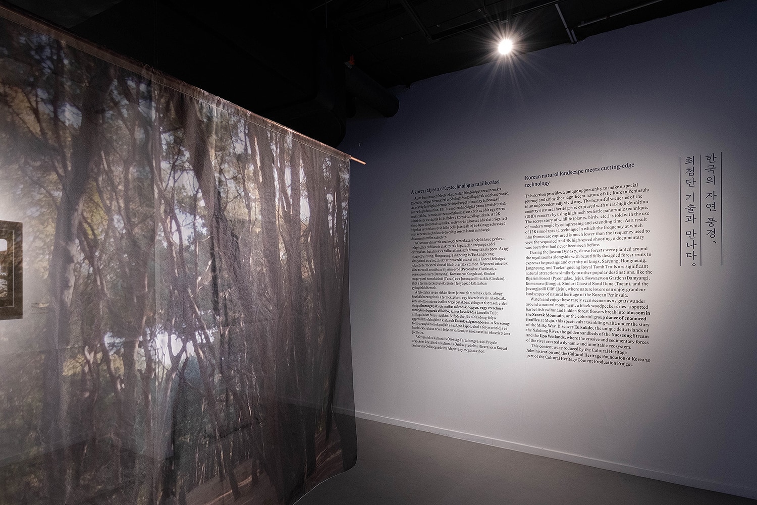 graphic designer hongbaksa 그래픽 디자이너 홍박사