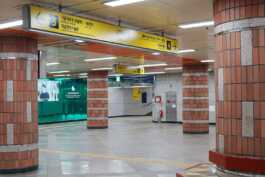 graphic designer hongbaksa 그래픽 디자이너 홍박사