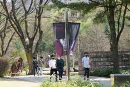 graphic designer hongbaksa 그래픽 디자이너 홍박사