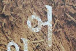 graphic designer hongbaksa 그래픽 디자이너 홍박사