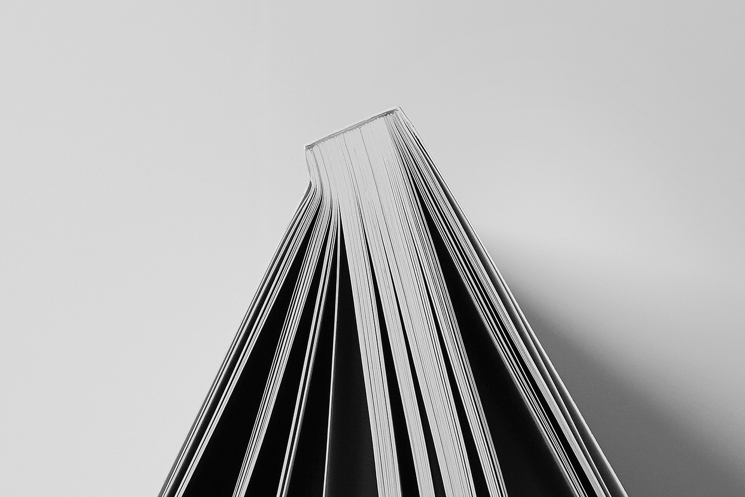 graphic designer hongbaksa 그래픽 디자이너 홍박사