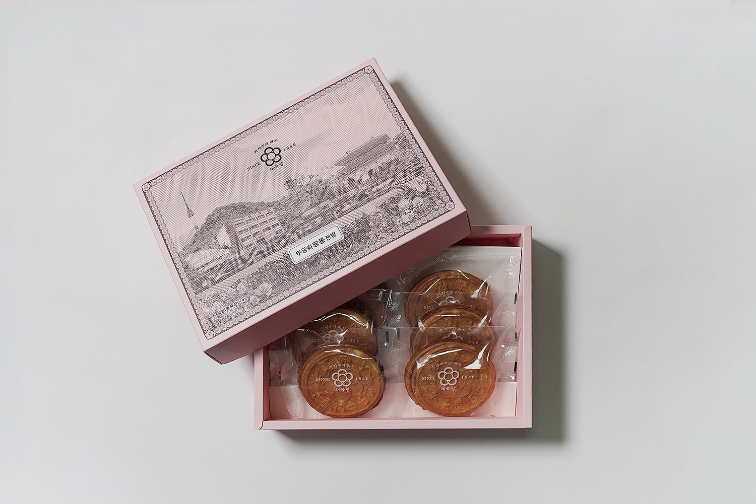 graphic designer hongbaksa 그래픽 디자이너 홍박사