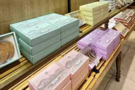 graphic designer hongbaksa 그래픽 디자이너 홍박사