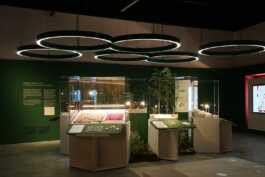 graphic designer hongbaksa 그래픽 디자이너 홍박사