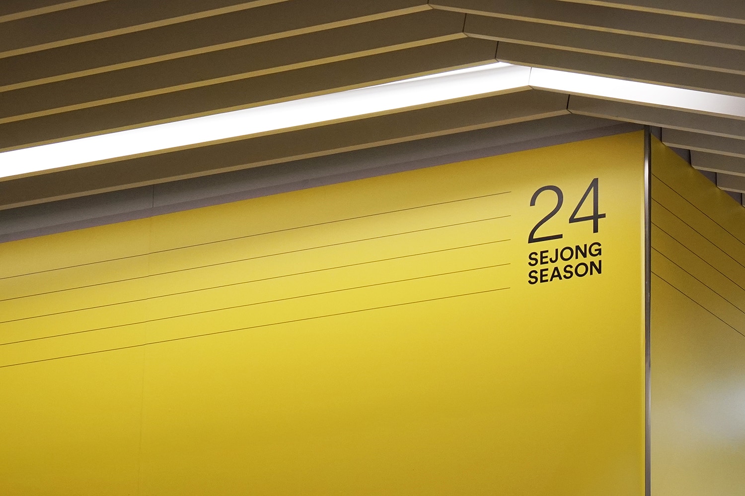 graphic designer hongbaksa 그래픽 디자이너 홍박사