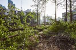 graphic designer hongbaksa 그래픽 디자이너 홍박사