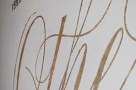 graphic designer hongbaksa 그래픽 디자이너 홍박사